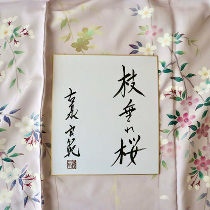 加賀友禅 | 訪問着 | 正絹 | 薄紅 | 枝垂れ桜 | 古泉良範