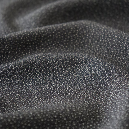 江戸小紋 | 着尺 | 正絹 | 黒 | 大小霰 | 型染 | 田島敬之
